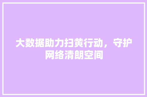 大数据助力扫黄行动，守护网络清朗空间
