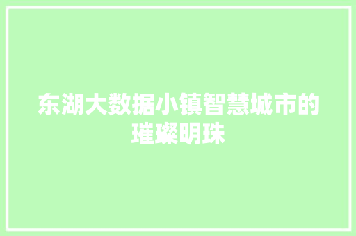 东湖大数据小镇智慧城市的璀璨明珠
