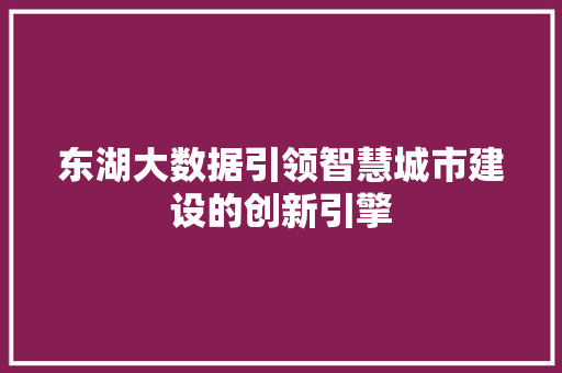 东湖大数据引领智慧城市建设的创新引擎