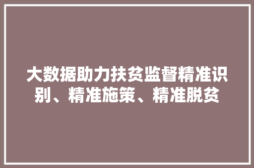 大数据助力扶贫监督精准识别、精准施策、精准脱贫