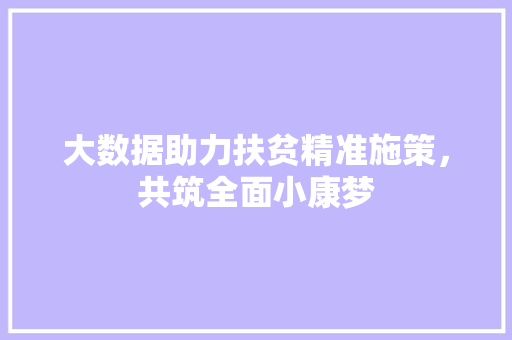 大数据助力扶贫精准施策，共筑全面小康梦