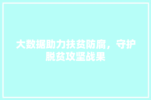 大数据助力扶贫防腐，守护脱贫攻坚战果