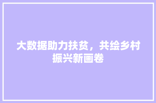 大数据助力扶贫，共绘乡村振兴新画卷