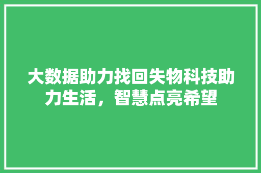 大数据助力找回失物科技助力生活，智慧点亮希望