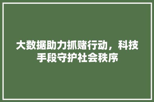 大数据助力抓赌行动，科技手段守护社会秩序