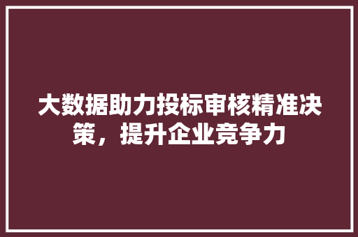 大数据助力投标审核精准决策，提升企业竞争力