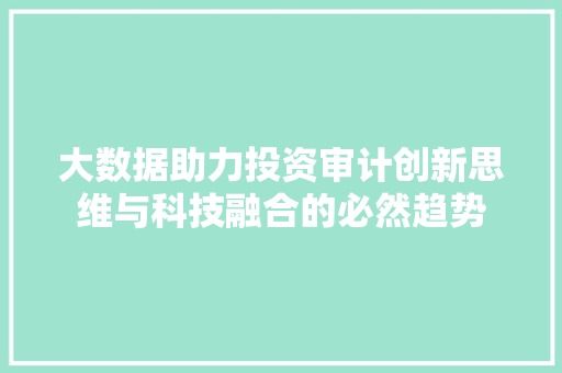 大数据助力投资审计创新思维与科技融合的必然趋势
