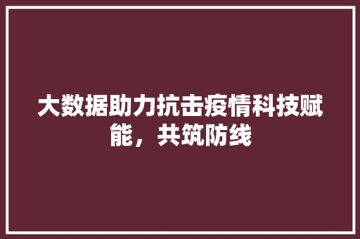 大数据助力抗击疫情科技赋能，共筑防线