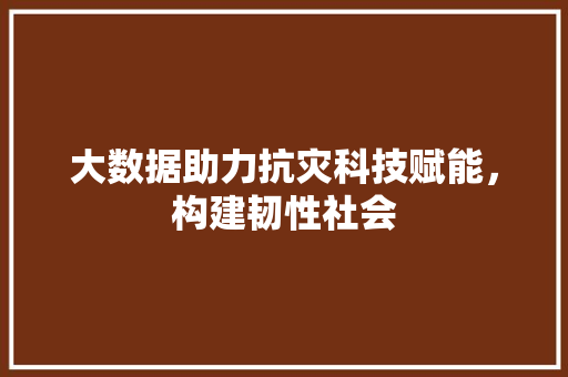 大数据助力抗灾科技赋能，构建韧性社会