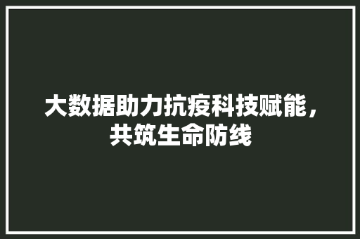 大数据助力抗疫科技赋能，共筑生命防线