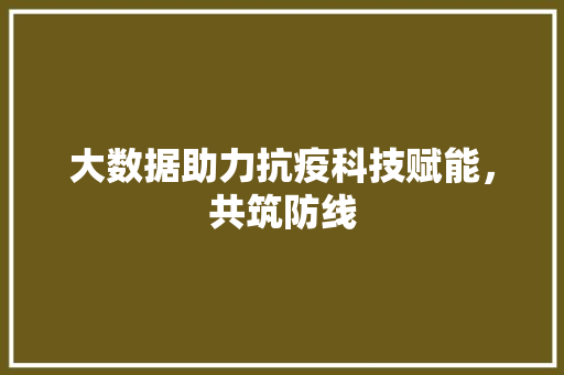 大数据助力抗疫科技赋能，共筑防线