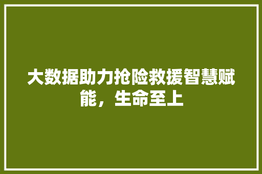 大数据助力抢险救援智慧赋能，生命至上