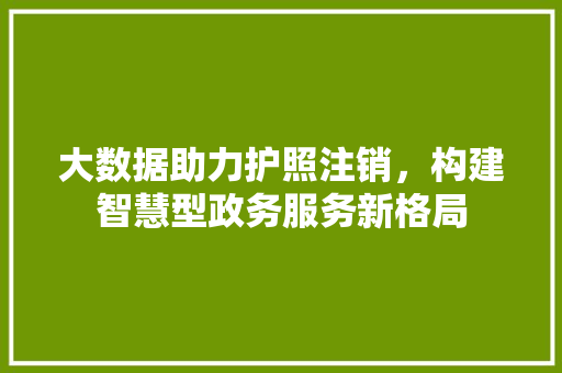 大数据助力护照注销，构建智慧型政务服务新格局