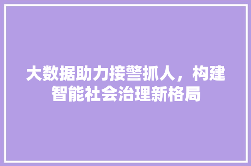 大数据助力接警抓人，构建智能社会治理新格局