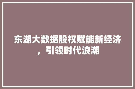 东湖大数据股权赋能新经济，引领时代浪潮
