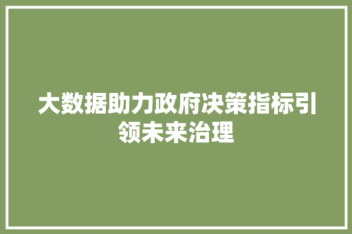 大数据助力政府决策指标引领未来治理