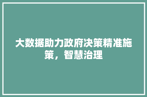 大数据助力政府决策精准施策，智慧治理