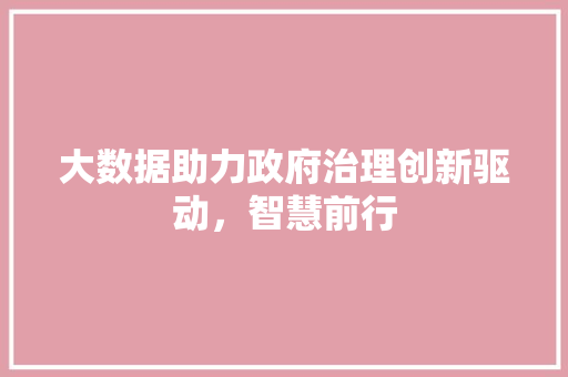 大数据助力政府治理创新驱动，智慧前行