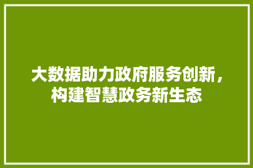 大数据助力政府服务创新，构建智慧政务新生态