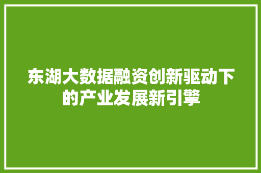 东湖大数据融资创新驱动下的产业发展新引擎