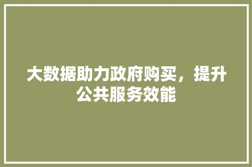 大数据助力政府购买，提升公共服务效能