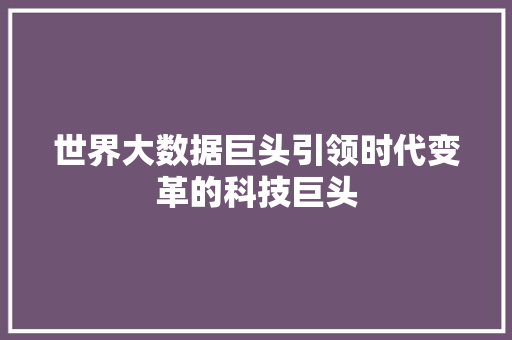 世界大数据巨头引领时代变革的科技巨头