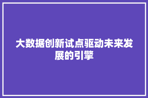 大数据创新试点驱动未来发展的引擎