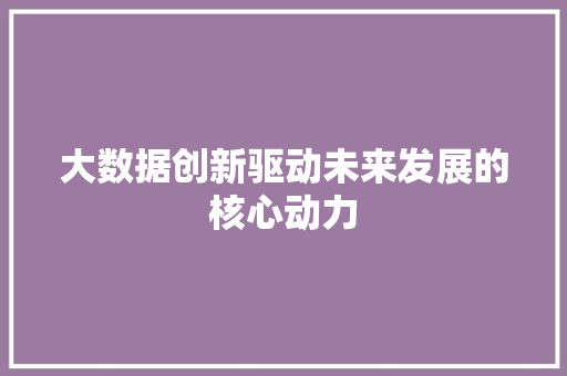 大数据创新驱动未来发展的核心动力