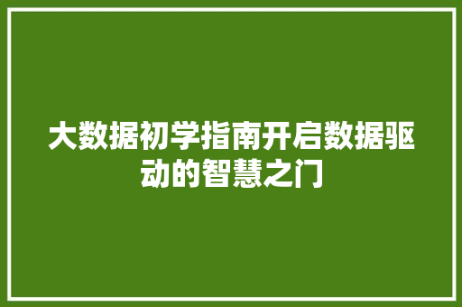 大数据初学指南开启数据驱动的智慧之门