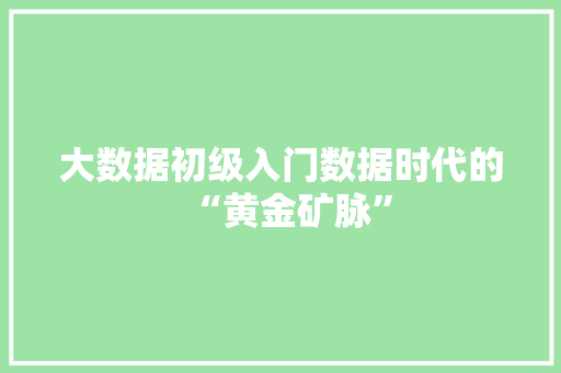 大数据初级入门数据时代的“黄金矿脉”