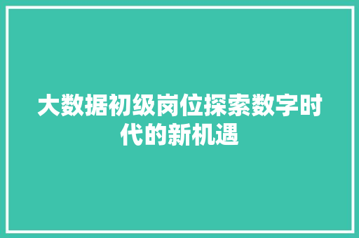 大数据初级岗位探索数字时代的新机遇