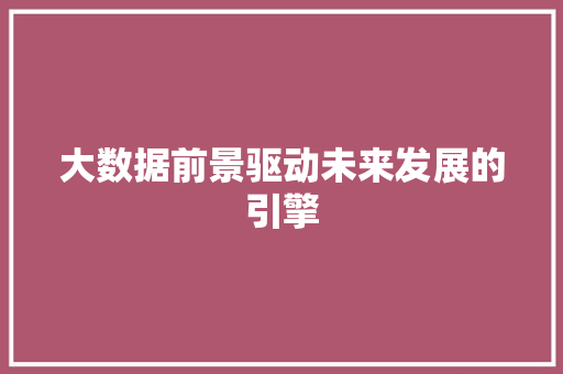 大数据前景驱动未来发展的引擎