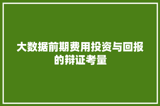 大数据前期费用投资与回报的辩证考量