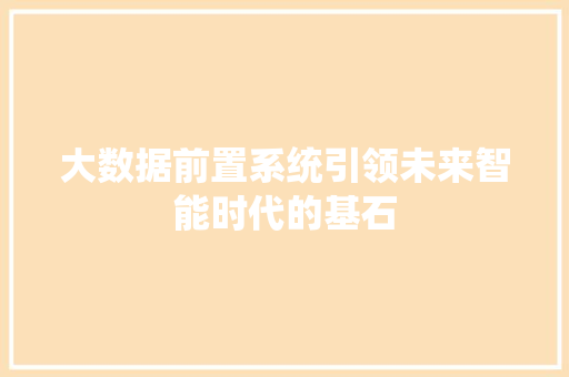大数据前置系统引领未来智能时代的基石