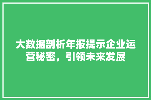 大数据剖析年报提示企业运营秘密，引领未来发展  第1张