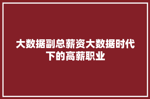 大数据副总薪资大数据时代下的高薪职业  第1张