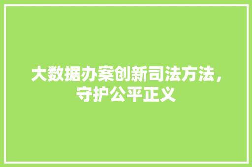 大数据办案创新司法方法，守护公平正义  第1张