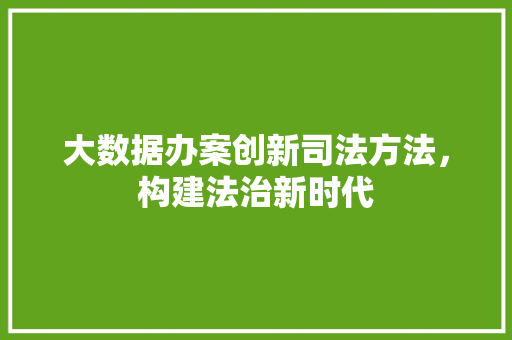 大数据办案创新司法方法，构建法治新时代