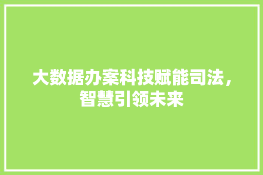 大数据办案科技赋能司法，智慧引领未来  第1张