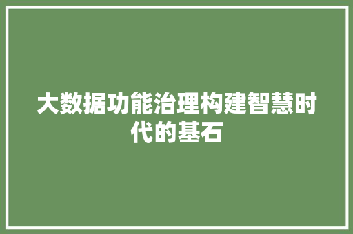 大数据功能治理构建智慧时代的基石  第1张