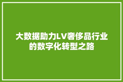 大数据助力LV奢侈品行业的数字化转型之路
