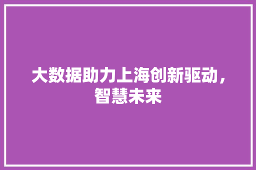 大数据助力上海创新驱动，智慧未来