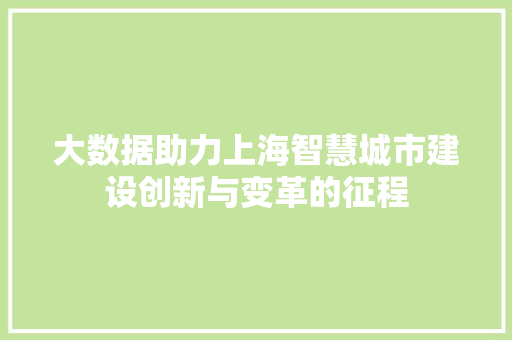 大数据助力上海智慧城市建设创新与变革的征程