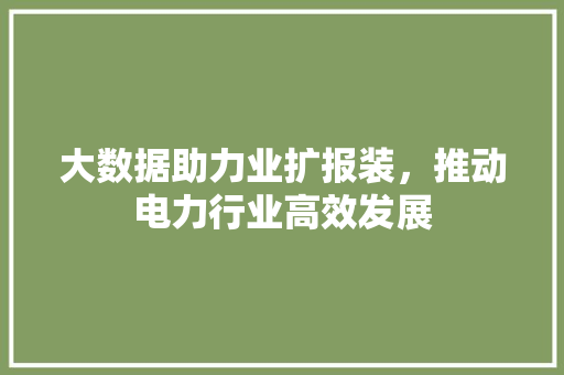 大数据助力业扩报装，推动电力行业高效发展  第1张
