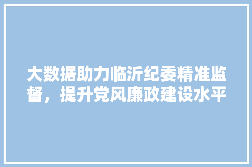大数据助力临沂纪委精准监督，提升党风廉政建设水平