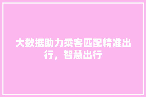 大数据助力乘客匹配精准出行，智慧出行