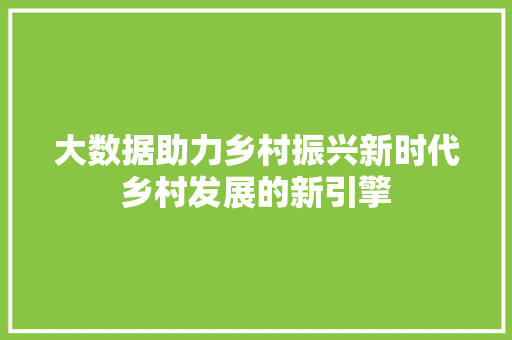 大数据助力乡村振兴新时代乡村发展的新引擎