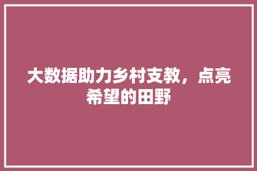 大数据助力乡村支教，点亮希望的田野