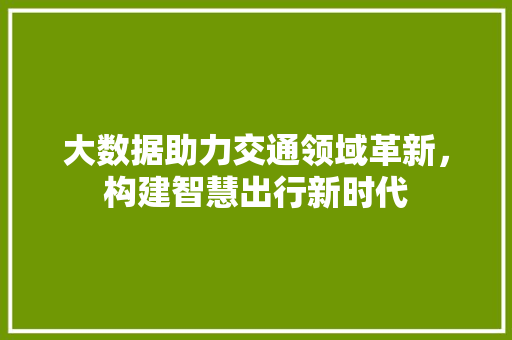 大数据助力交通领域革新，构建智慧出行新时代