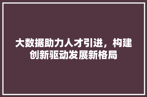 大数据助力人才引进，构建创新驱动发展新格局